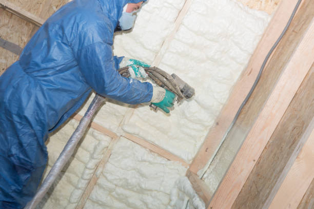 Best Basement Insulation  in East Rancho Dominguez, CA